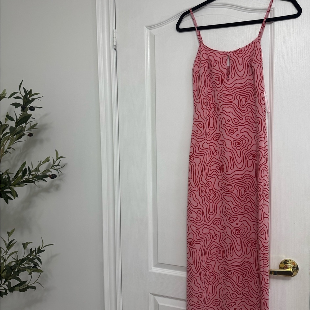 Zara Pink and Red Printed Maxi Dress